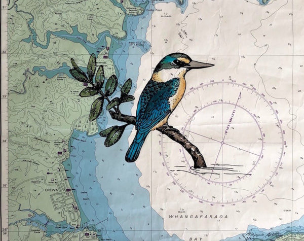 Kingfisher (Whangaparaoa)